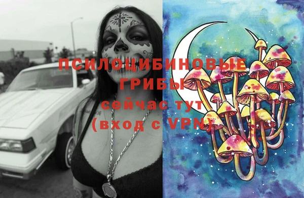 ПСИЛОЦИБИНОВЫЕ ГРИБЫ Абдулино