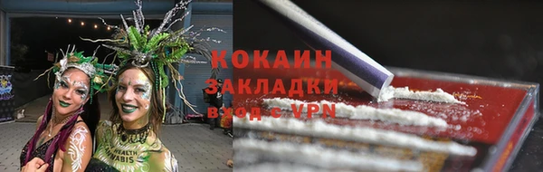 бошки Новозыбков