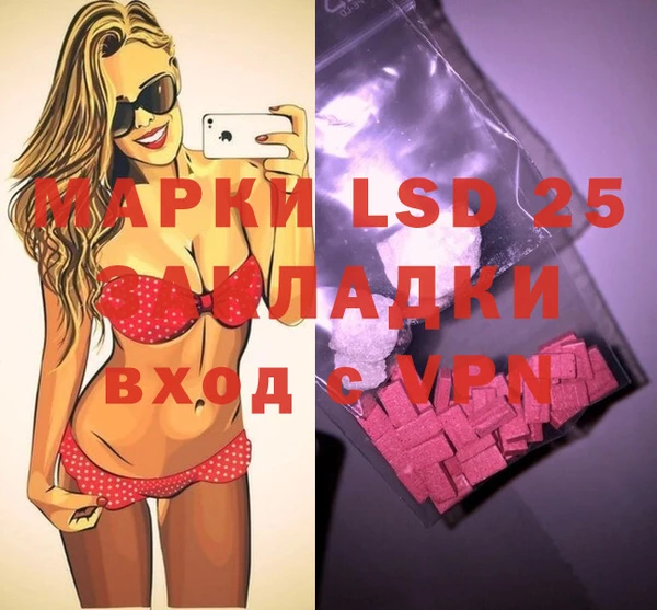 стаф Абинск