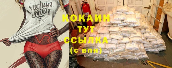 тгк Новодвинск