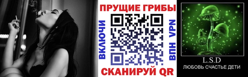 Галлюциногенные грибы мухоморы  купить наркотик  Туапсе 